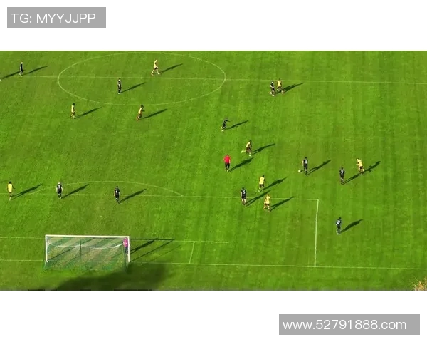 足球明星的传奇人生与场上风采的完美结合探秘